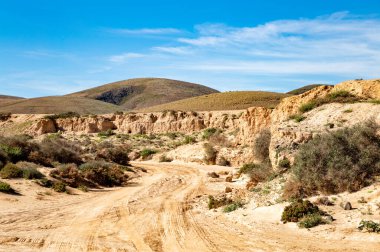 Kanada de Melian nehir yatağına, Fuerteventura Adası, Kanarya Adaları, İspanya, Avrupa. 