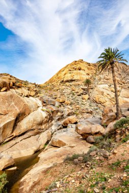 Barranco del Rodeo 'daki Rocky manzarası, Fuerteventura, Kanarya Adaları, İspanya, Avrupa. 