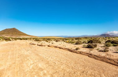 Kanada de Melian nehir yatağına, Fuerteventura Adası, Kanarya Adaları, İspanya, Avrupa. 