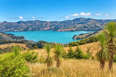 Akaroa Körfezi, Canterbury, Güney Adası, Yeni Zelanda, Okyanusya
