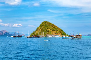 Geleneksel Phinisi yelkenli gemileri, Labuan Bajo, Flores Adası, Endonezya