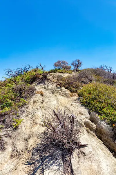 Yürüyüş yolu, Volkan Kawah İjen, Banyuwangi, Java, Endonezya, Güneydoğu Asya