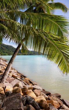 Anse A La Mouche Sahili, Mahe Adası, Seyşeller Cumhuriyeti