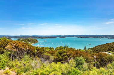 Russel Limanı, Kororareka Point, Kuzey Adası, Yeni Zelanda, Okyanusya. 