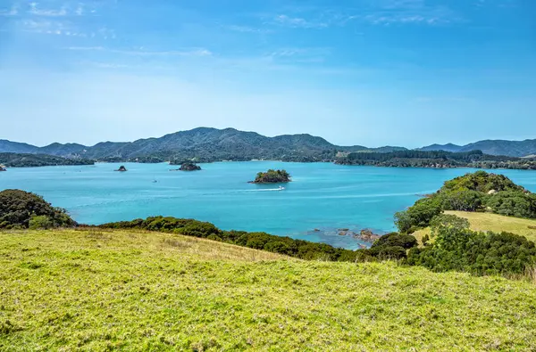 Urupukapuka Adası, Adalar Körfezi, Kuzey Adası, Yeni Zelanda, Okyanusya. 