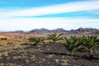 Valle de Santa Ines, Fuerteventura Adası, Kanarya Adaları, İspanya, Avrupa