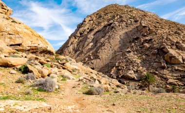 Barranco del Rodeo 'daki Rocky manzarası, Fuerteventura, Kanarya Adaları, İspanya, Avrupa. 