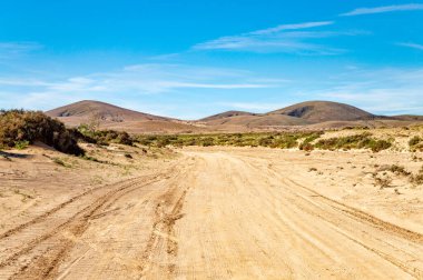 Kanada de Melian nehir yatağına, Fuerteventura Adası, Kanarya Adaları, İspanya, Avrupa. 
