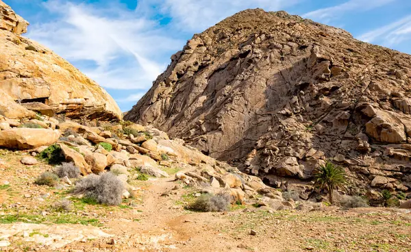 Barranco del Rodeo 'daki Rocky manzarası, Fuerteventura, Kanarya Adaları, İspanya, Avrupa. 