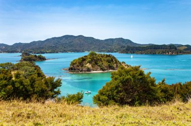 Yuvarlak Ada, Urupukapuka Adası, Adalar Körfezi, Kuzey Adası, Yeni Zelanda, Okyanusya. 