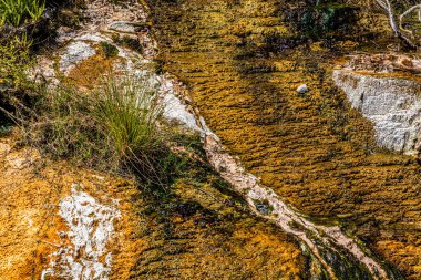 Dünya yüzeyine yakın, Waimangu Volkanik Vadisi, Rotorua, Kuzey Adası, Yeni Zelanda, Okyanusya