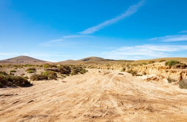 Kanada de Melian nehir yatağına, Fuerteventura Adası, Kanarya Adaları, İspanya, Avrupa. 