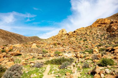 Barranco del Rodeo 'daki Rocky manzarası, Fuerteventura, Kanarya Adaları, İspanya, Avrupa. 