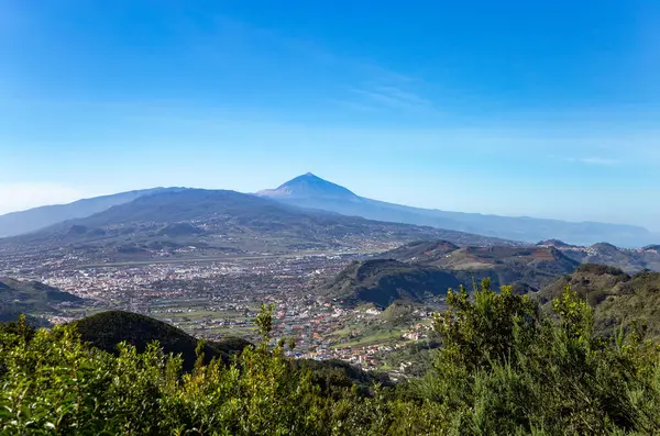 Şehir Las Mersedes, Ada Tenerife, Kanarya Adaları, İspanya, Avrupa