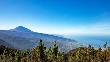 Volkan Teide ve Puerto de la Cruz Town, Tenerife Adası, Kanarya Adaları, İspanya, Avrupa