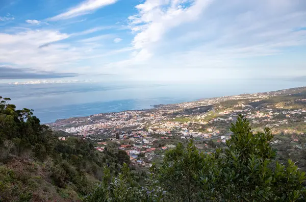 Icod de los Vinos kasabası, Tenerife Adası, Kanarya Adaları, İspanya, Avrupa.