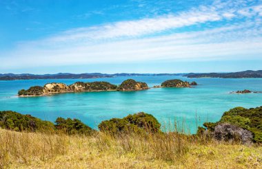 Urupukapuka Adası, Adalar Körfezi, Kuzey Adası, Yeni Zelanda, Okyanusya. 