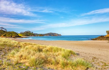 Elliot Körfezi, Kuzey Adası, Yeni Zelanda, Okyanusya. 
