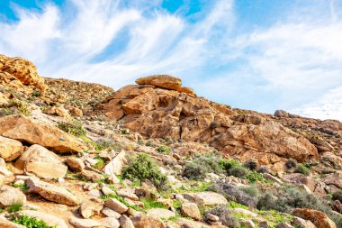 Barranco del Rodeo 'daki Rocky manzarası, Fuerteventura, Kanarya Adaları, İspanya, Avrupa. 