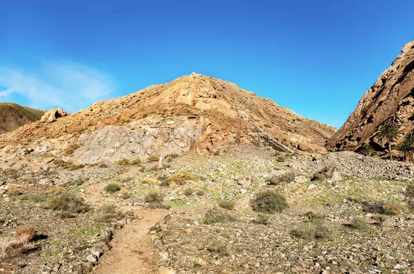 Canyn Barranco de las Penas, Fuerteventura, Kanarya Adaları, İspanya, Avrupa. 