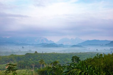 Sabah sisli vadi, Khao Sok Ulusal Parkı, Surat Thani, Güneydoğu Tayland, Güneydoğu Asya.