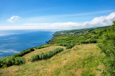 Batı kıyısı Feteiras, Sao Miguel Adası, Azores, Portekiz, Avrupa