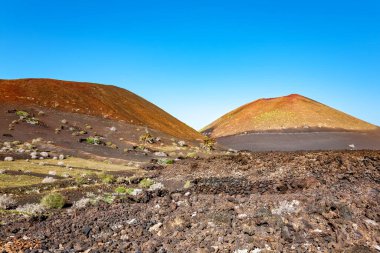 Volkanik manzara, Lanzarote Adası, Kanarya Adaları, İspanya, Avrupa