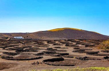 Volkanik manzara, La Geria, Lanzarote Adası, Kanarya Adaları, İspanya, Avrupa