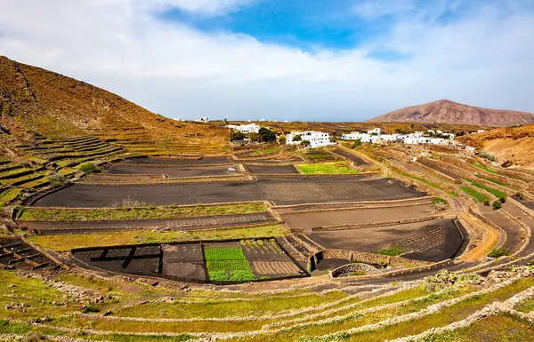 Caldera de Guiguan Krateri, Tajaste, Lanzarote Adası, Kanarya Adaları, İspanya, Avrupa.