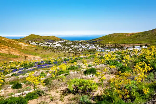Haria Kasabası, Lanzarote Adası, Kanarya Adaları, İspanya, Avrupa