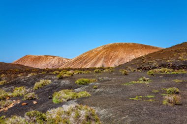 Volkanik manzara, Lanzarote Adası, Kanarya Adaları, İspanya, Avrupa