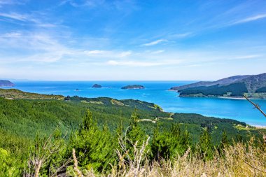 Croisilles Limanı, Marlborough Sesleri, Güney Adası, Yeni Zelanda, Okyanus