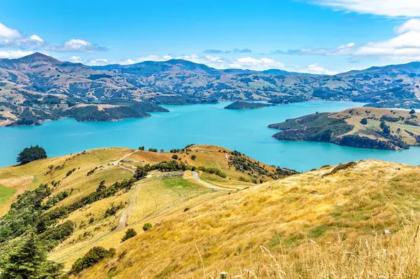 Akaroa Körfezi, Canterbury, Güney Adası, Yeni Zelanda, Okyanusya