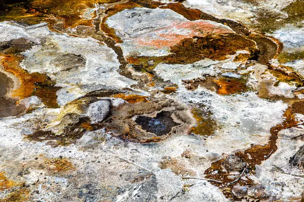 Dünya yüzeyine yakın, Waimangu Volkanik Vadisi, Rotorua, Kuzey Adası, Yeni Zelanda, Okyanusya
