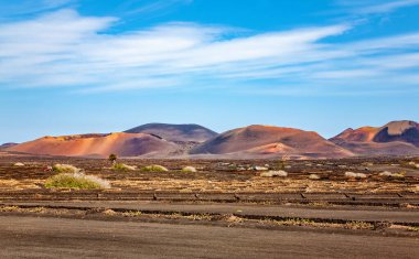 Volkanik manzara, La Geria, Lanzarote Adası, Kanarya Adaları, İspanya, Avrupa