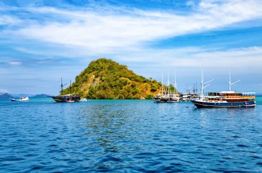 Geleneksel Phinisi yelkenli gemileri, Labuan Bajo, Flores Adası, Endonezya
