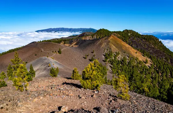 Volkanik manzara boyunca Ruta de los Volcanes, La Palma Adası, Kanarya Adaları, İspanya, Avrupa