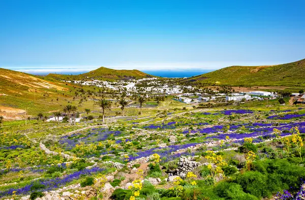 Haria Kasabası, Lanzarote Adası, Kanarya Adaları, İspanya, Avrupa