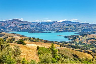 Akaroa Körfezi, Canterbury, Güney Adası, Yeni Zelanda, Okyanusya