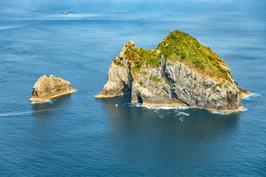 Motukumara Kayası, Whangamumu Sahili, Kuzey Adası, Yeni Zelanda, Okyanus. 