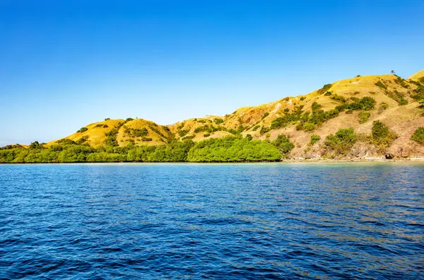 Rinca Adası, Komodo Ulusal Parkı, Flores, Endonezya, Güneydoğu Asya