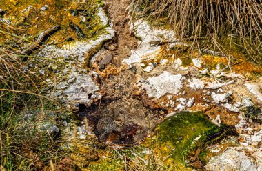 Dünya yüzeyine yakın, Waimangu Volkanik Vadisi, Rotorua, Kuzey Adası, Yeni Zelanda, Okyanusya