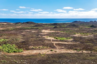 Volkanik arazide yürüyüş izleri, Ada de Lobos, Kanarya Adaları, İspanya, Avrupa. 