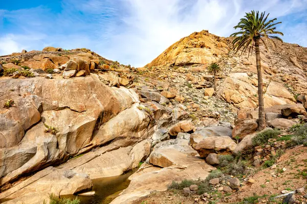 Barranco del Rodeo 'daki Rocky manzarası, Fuerteventura, Kanarya Adaları, İspanya, Avrupa. 