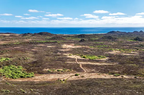 Volkanik arazide yürüyüş izleri, Ada de Lobos, Kanarya Adaları, İspanya, Avrupa. 