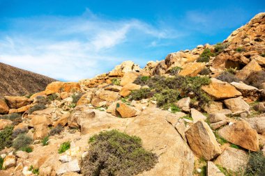 Barranco del Rodeo 'daki Rocky manzarası, Fuerteventura, Kanarya Adaları, İspanya, Avrupa. 