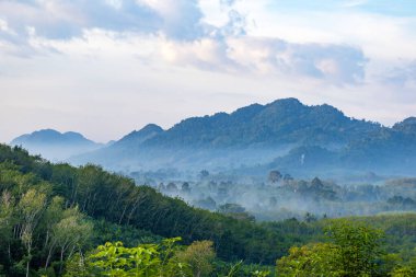 Sabah sisli vadi, Khao Sok Ulusal Parkı, Surat Thani, Güneydoğu Tayland, Güneydoğu Asya.