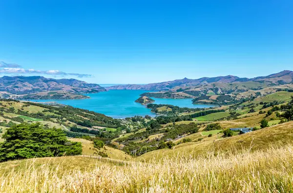 Akaroa Körfezi, Canterbury, Güney Adası, Yeni Zelanda, Okyanusya