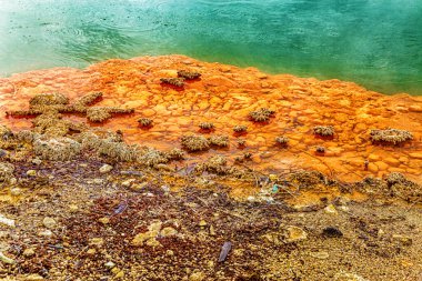 Şampanya Havuzu, Waiotapu Termal Harikalar Diyarı, Rotorua, Kuzey Adası, Yeni Zelanda, Okyanus. 