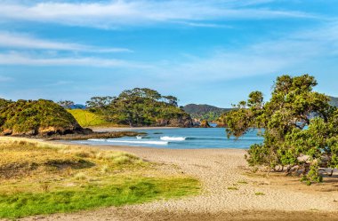 Elliot Körfezi, Kuzey Adası, Yeni Zelanda, Okyanusya. 
